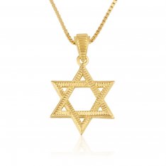 14K Gold Pendant Necklace with Star of David Pendant  Textured Finish