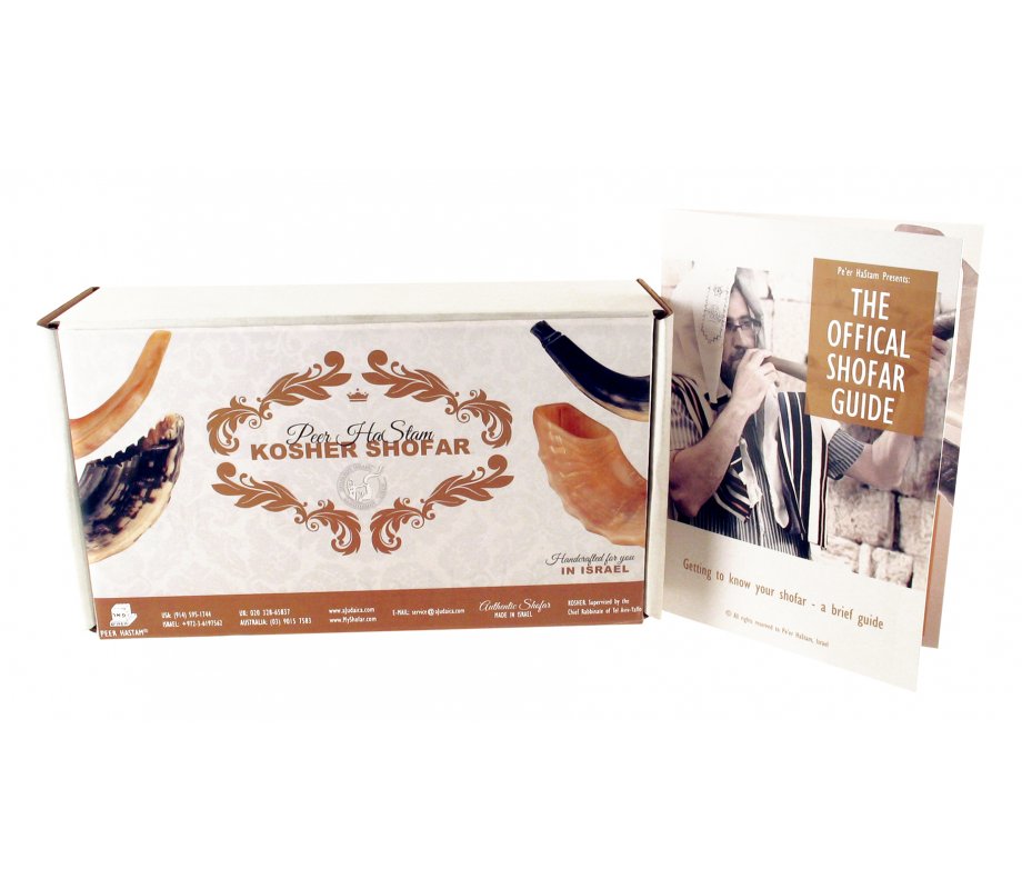 Complete Shofar Set Gift Box - Polished Black Ram's Horn