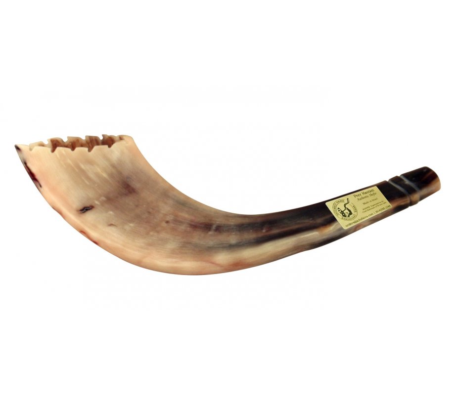 Crown Cut Moroccan Cut Ram's Horn Shofar - Light