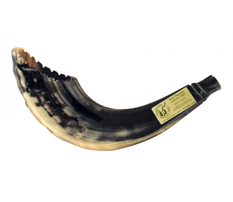 Crown Cut Ram's Horn Shofar in Moroccan Style - Dark