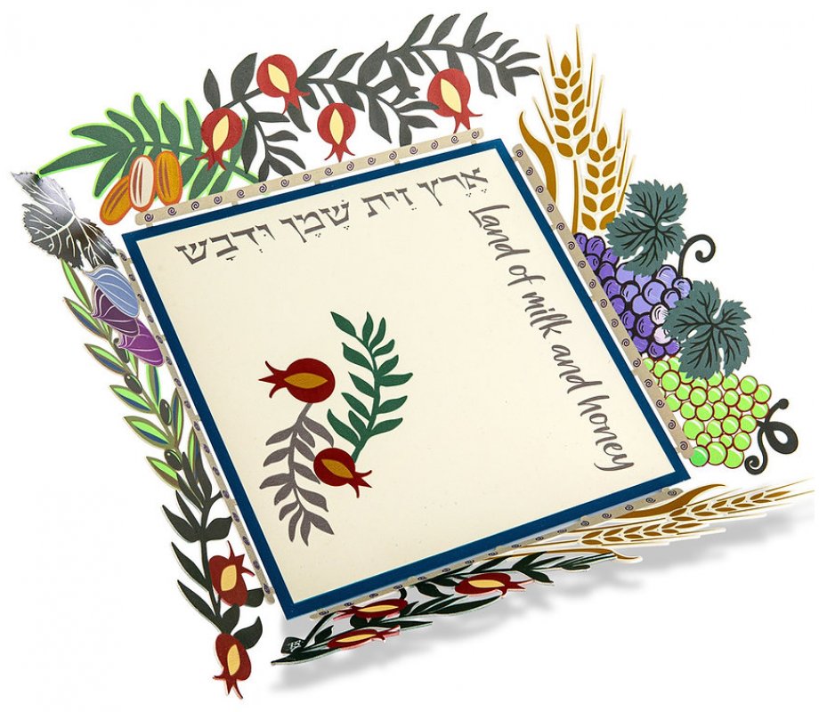 Decorative Tray with Colorful Cutout Seven Species Cutout Border - Dorit Judaica