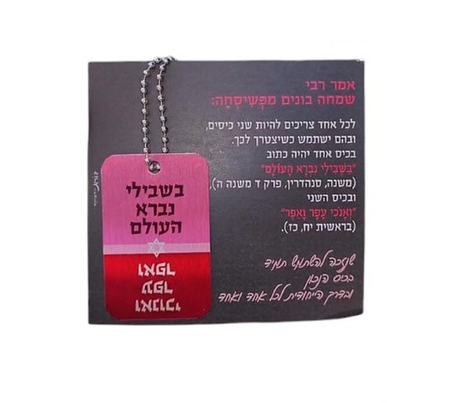 Dog Tag Necklace on Chain, with Pink Letters, Hassidic Quote - Dorit Judaica