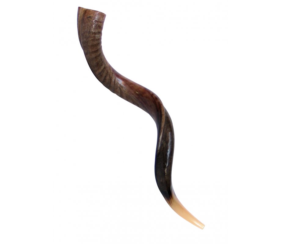 Half Polished Half Natural Yemenite Shofar - Large