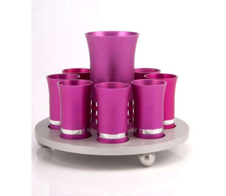 Hot Pink Kiddush Cup Set by Agayof
