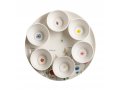 Israel Museum Colorful Floral Design Seder Plate with Six Matching Dishes