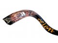 Lion of Judah Hand Painted Yemenite Shofar