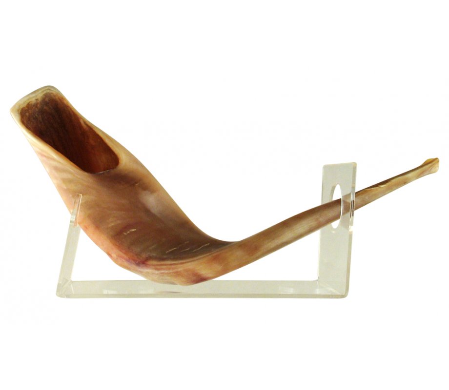 Lucite Shofar Stand for Large Ram's Horn of 18-23 Inches Long
