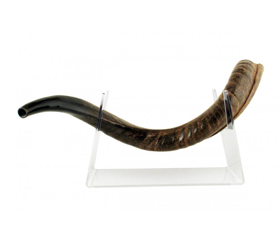 Lucite Stand for Yemenite Shofar Length 22-40 Inches