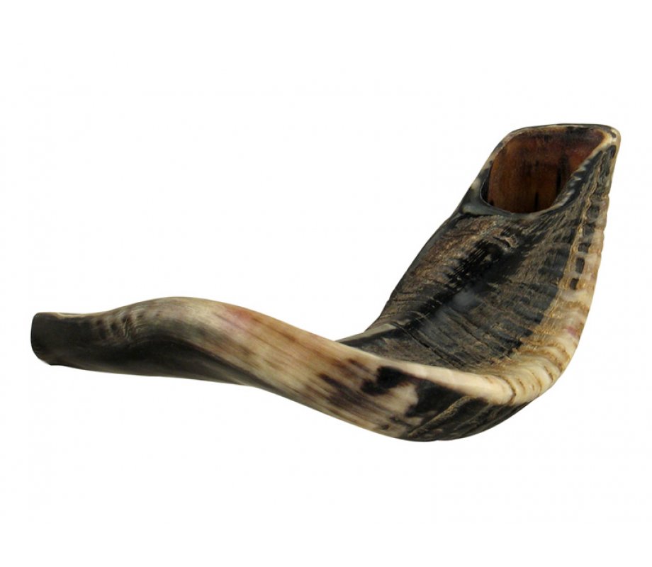Natural Black Rams Horn Shofar - Large