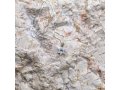 Pendant Necklace, Star of David with Zircon Crystals - Sterling Silver