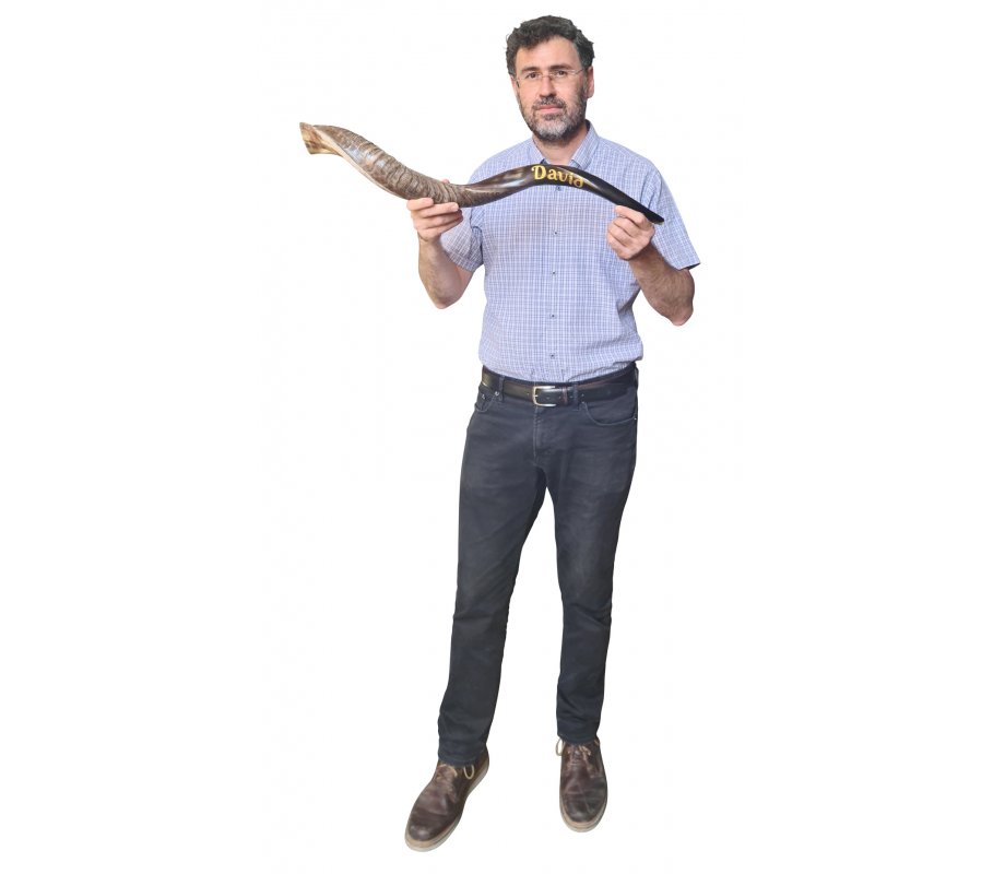 Personalized Shofar - Yemenite Kudu Horn Inscribed with Name