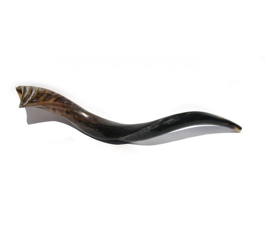 Polished Medium Yemenite Shofar
