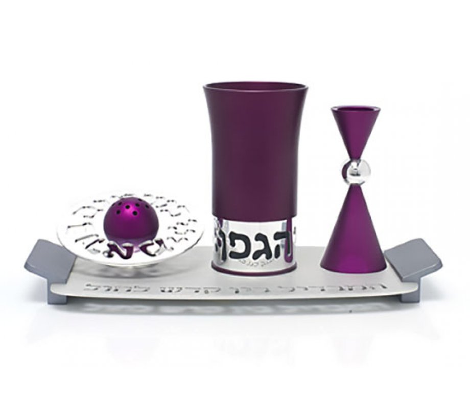 Purple Aluminum Havdalah Set by Agayof