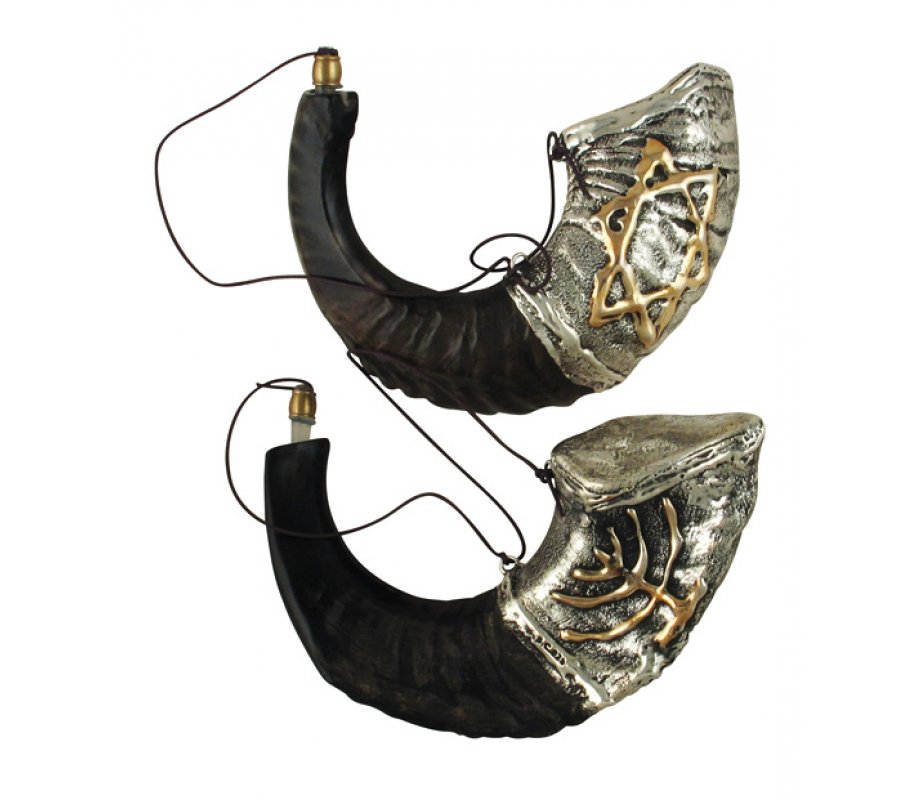 Sterling Silver Decorated Anointing Ram's Horn Shofar