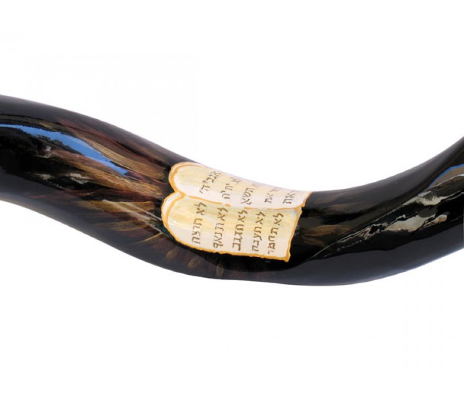 Ten Commandments Hand Painted Yemenite Shofar