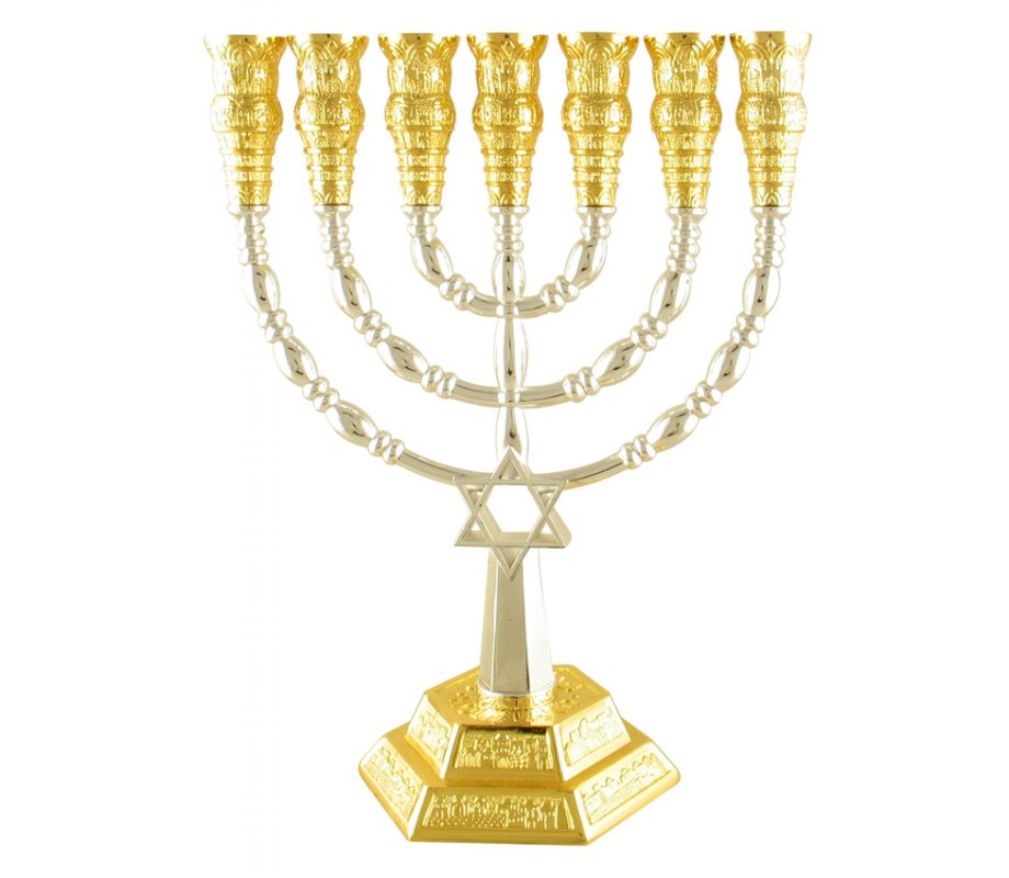 Two Tone Seven Branch Menorah - Star of David