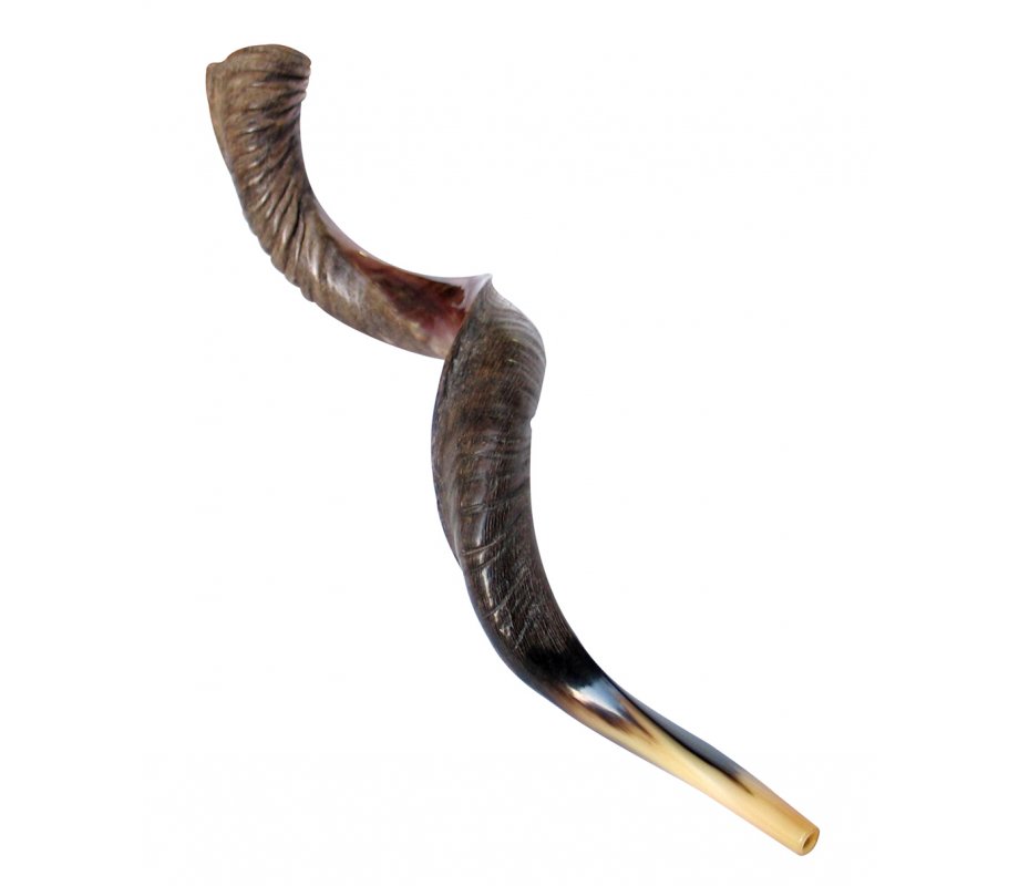XL Half Polished Half Natural Yemenite Shofar