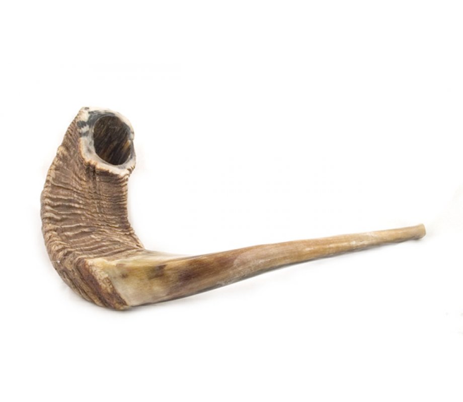 XL Rams Horn Shofar - Natural